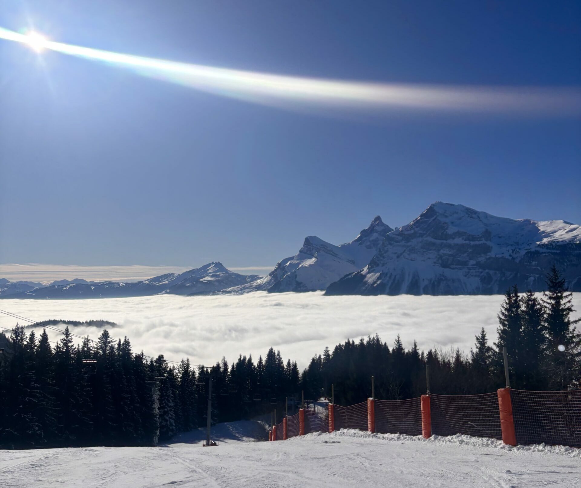 Mi Neige - Mi Coton